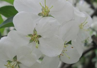 细节决定成败的句子(实用40句)