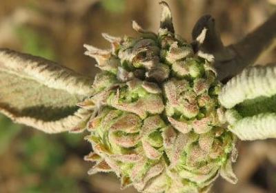 练好口才的经典句子(实用80句)