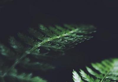 美好的英语句子(80句)