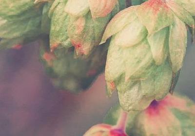 考研的句子(推荐10句)