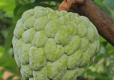行动的励志句子(热门60句)