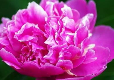 经历过生死的感悟句子(推荐50句)