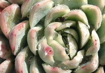 落魄的句子(共40句)