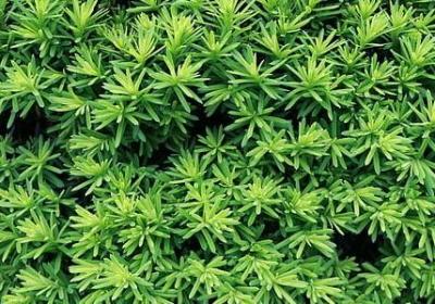 虚度光阴的句子(50句)