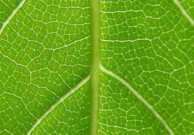 维持关系的句子(通用50句)