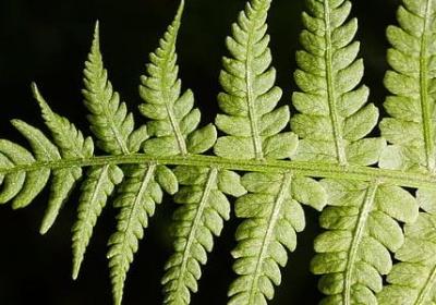 简单朴实的生活的句子(热门40句)