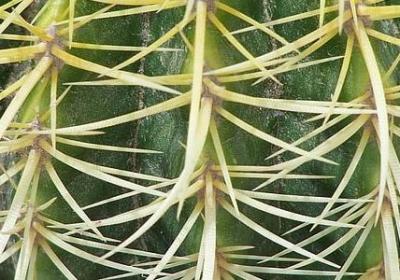 表扬自己的句子(推荐50句)
