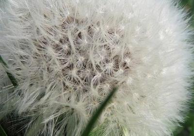 英语一般将来时的句子(汇总80句)
