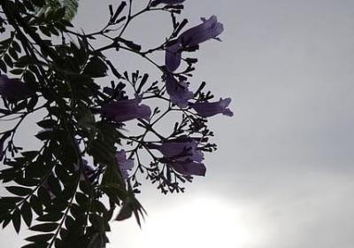 伤心的瞬间唯美句子(热门60句)
