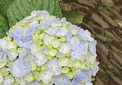 伤逝好句子(优选20句)