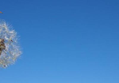 伤感心情不好的句子(热门30句)