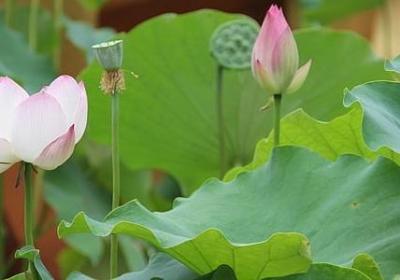 企业立身之本句子(优选10句)