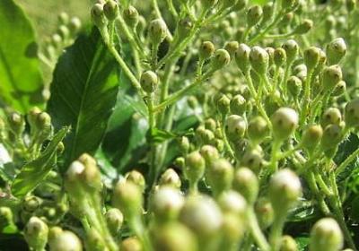 伤感一点的句子(推荐15句)