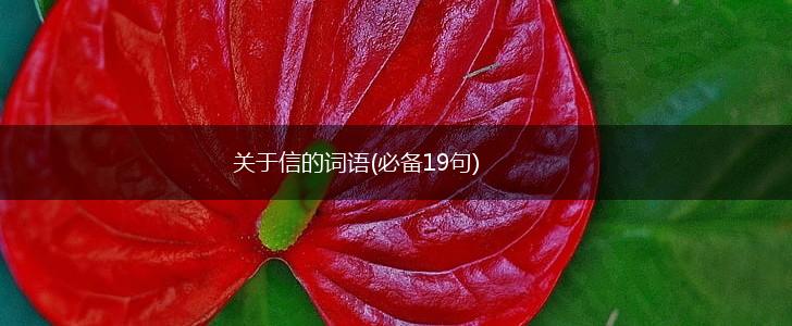 关于信的词语(必备19句),第1张