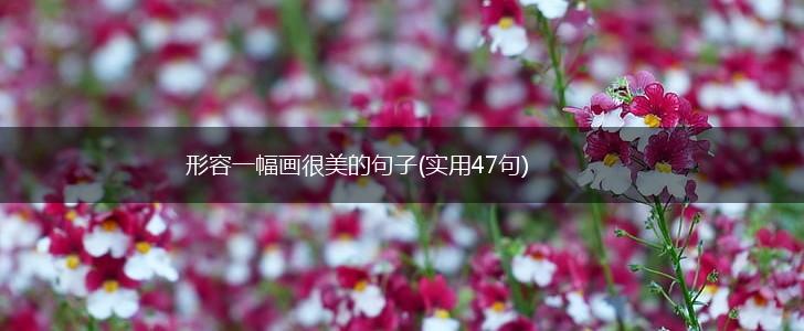 形容一幅画很美的句子(实用47句),第1张