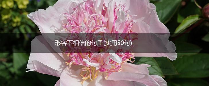 形容不相信的句子(实用50句),第1张
