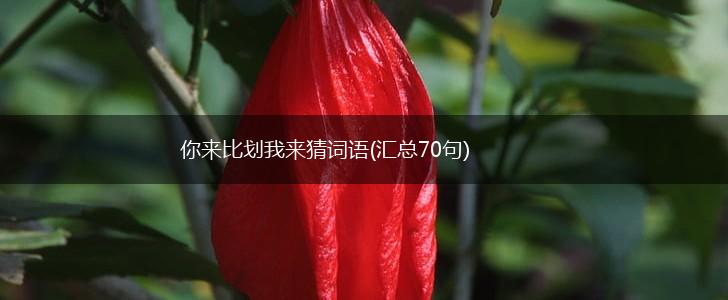 你来比划我来猜词语(汇总70句),第1张