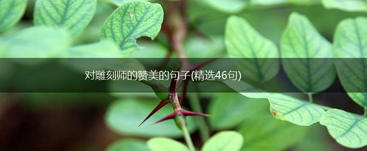 对雕刻师的赞美的句子(精选46句),第1张