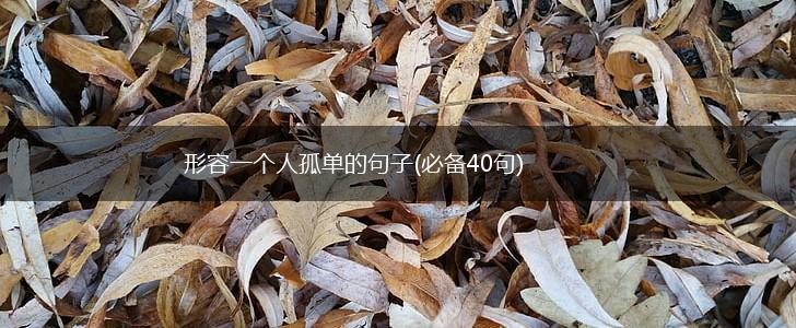 形容一个人孤单的句子(必备40句),第1张
