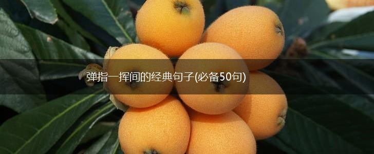 弹指一挥间的经典句子(必备50句),第1张