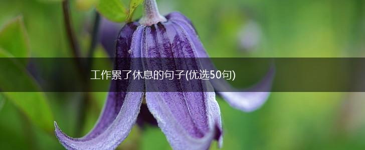 工作累了休息的句子(优选50句),第1张