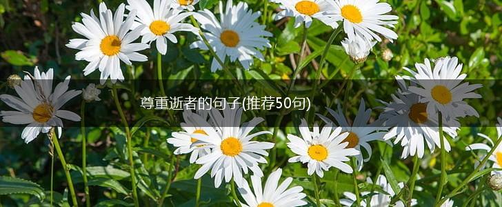 尊重逝者的句子(推荐50句),第1张