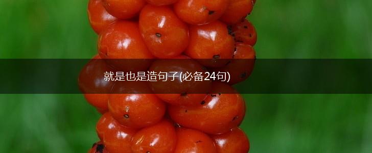 就是也是造句子(必备24句),第1张