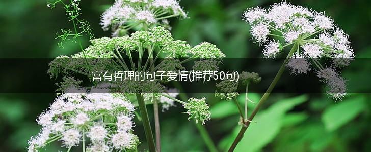 富有哲理的句子爱情(推荐50句),第1张