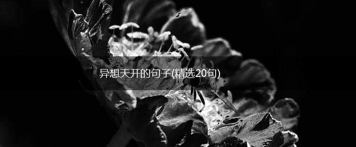 异想天开的句子(精选20句),第1张