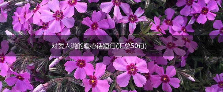 对爱人说的暖心话短句(汇总50句),第1张