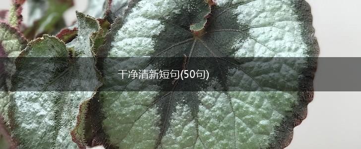 干净清新短句(50句),第1张