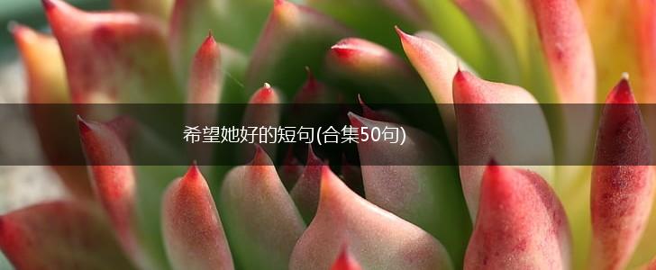 希望她好的短句(合集50句),第1张