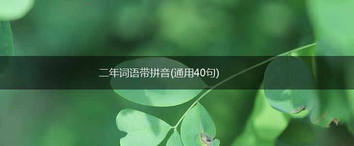 二年词语带拼音(通用40句),第1张