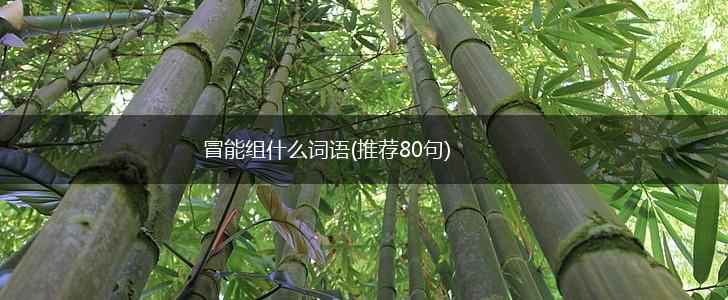 冒能组什么词语(推荐80句),第1张