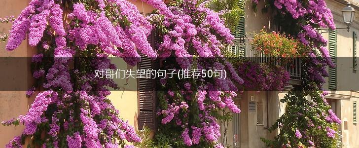 对哥们失望的句子(推荐50句),第1张