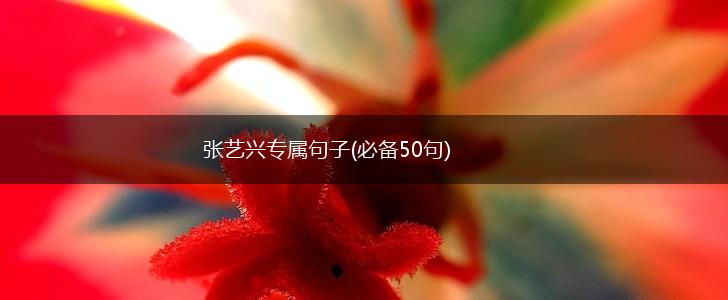 张艺兴专属句子(必备50句),第1张