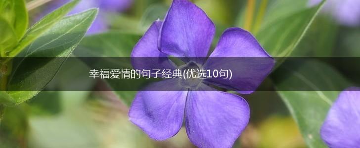 幸福爱情的句子经典(优选10句),第1张