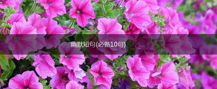 幽默短句(必备10句),第1张