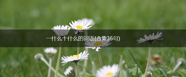 一什么十什么的词语(合集36句),第1张