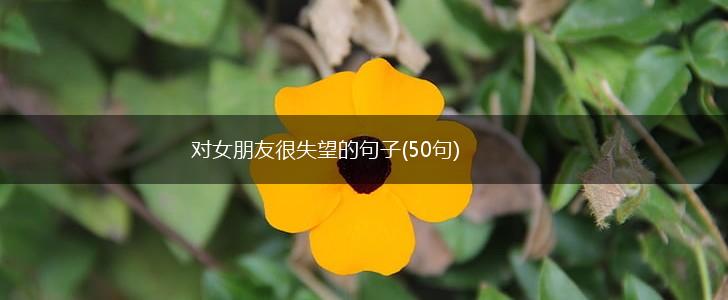 对女朋友很失望的句子(50句),第1张