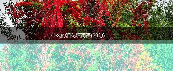 什么的泪花填词语(20句),第1张