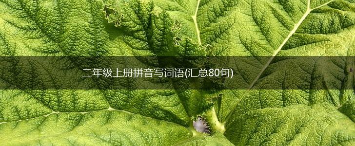 二年级上册拼音写词语(汇总80句),第1张