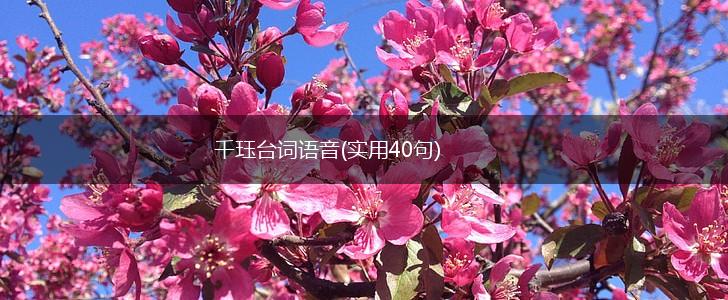 千珏台词语音(实用40句),第1张