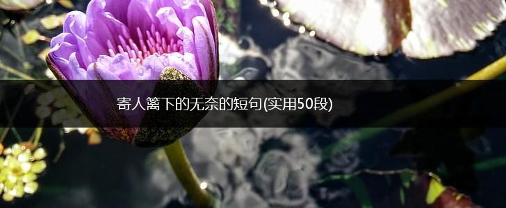 寄人篱下的无奈的短句(实用50段),第1张