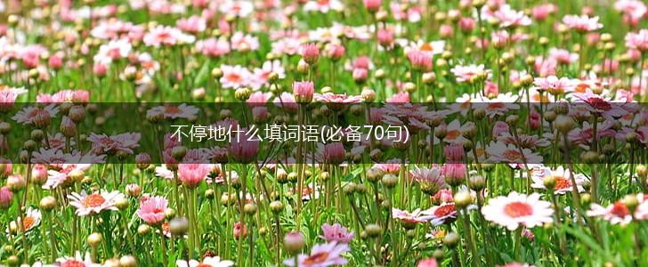 不停地什么填词语(必备70句),第1张