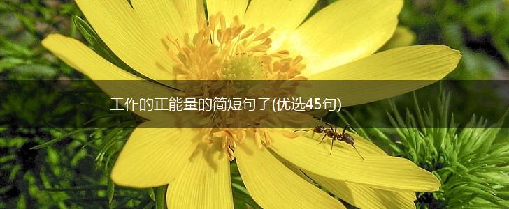 工作的正能量的简短句子(优选45句),第1张