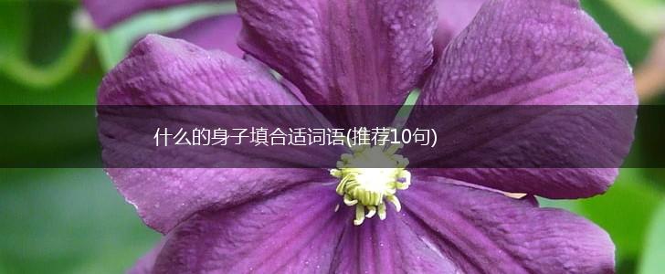 什么的身子填合适词语(推荐10句),第1张