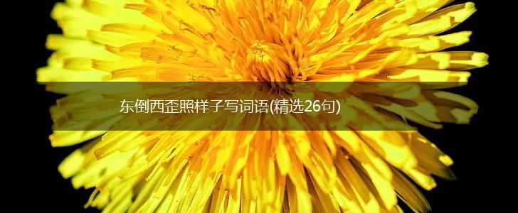 东倒西歪照样子写词语(精选26句),第1张