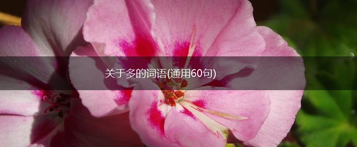 关于多的词语(通用60句),第1张