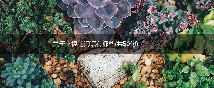 关于幸福的词语有哪些(共50句),第1张